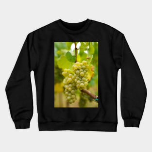 Ripening grapes on the vine Crewneck Sweatshirt